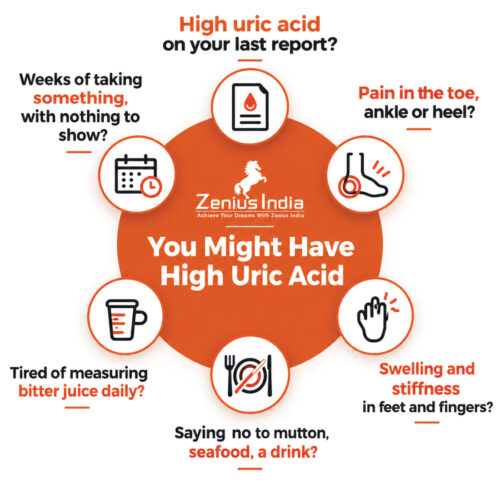 uric.jpg (1) Zenius Uric Acid Care Capsule Natural Supplement For Uric Acid, Gout Support, Joint Pain, Stiffness & Swelling | Uric Acid Levels & Kidney Health Management | 60 Capsules