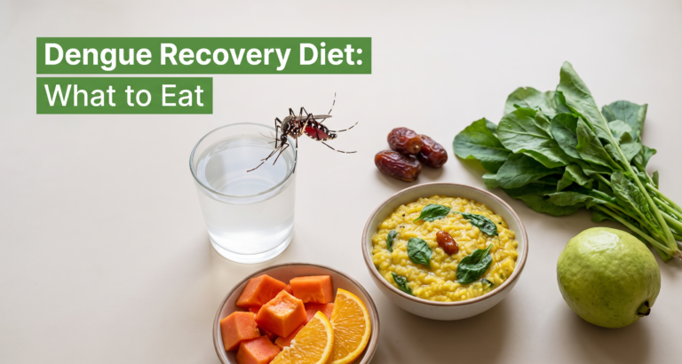 Dengue Recovery Diet: What to Eat, Platelet Care & When to See a Doctor 2 Dengue Recovery